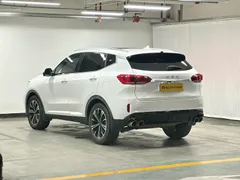 Wey VV6