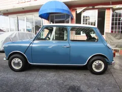 Rover Mini