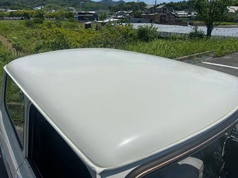 Rover Mini