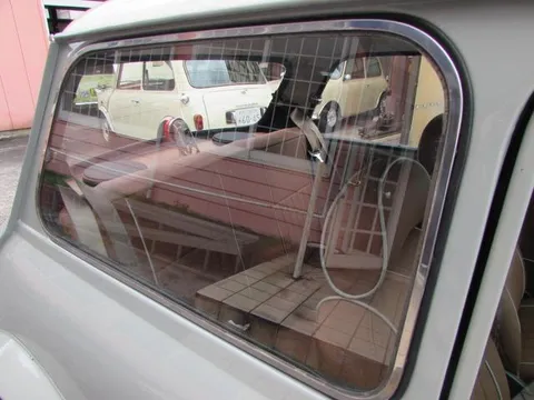 Rover Mini
