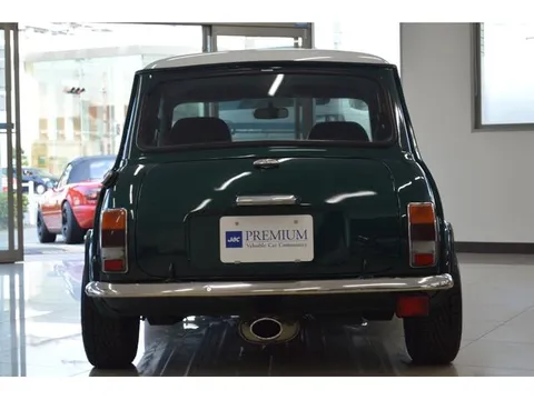 Rover Mini