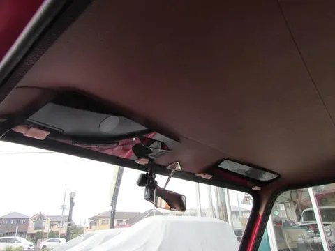 Rover Mini