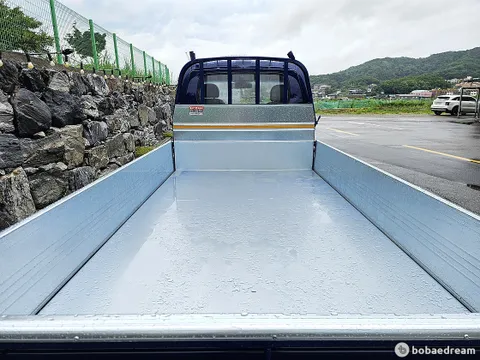 Kia Bongo 3