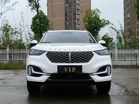 Wey VV6