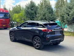 Wey VV7