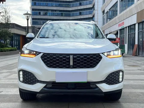 Wey VV6