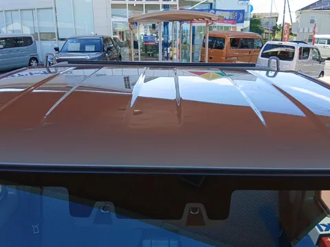Suzuki Carry Track