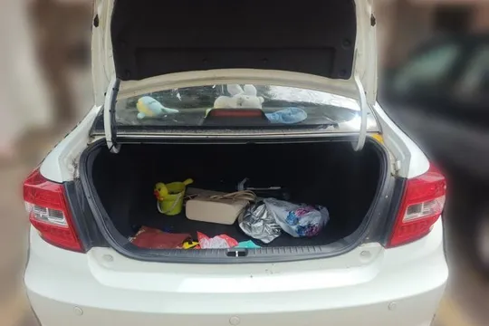 Geely Vision
