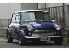 Rover Mini