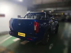 Great Wall Poer