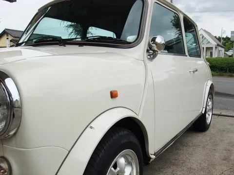 Rover Mini