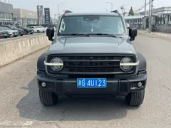 Tank 300