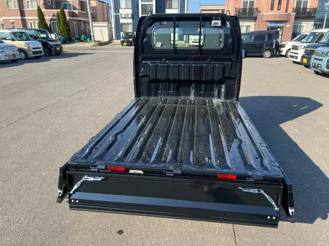 Suzuki Carry Track