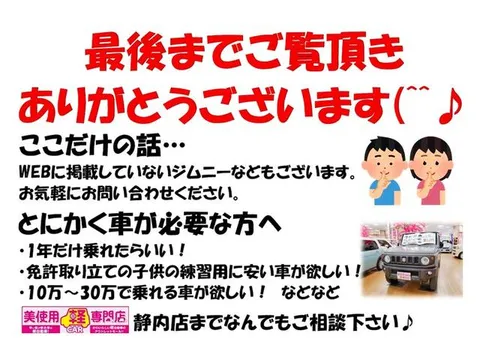 Mitsubishi Toppo