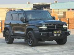 Tank 300