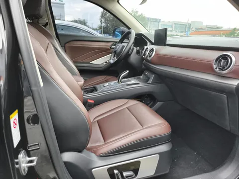 Wey VV6