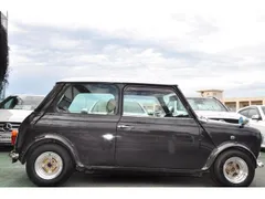 Rover Mini