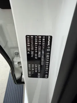 Haval H9