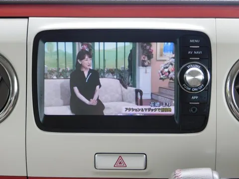 Suzuki Alto Lapin Chocolat