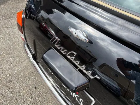 Rover Mini