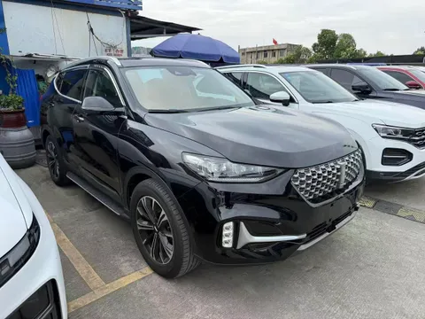 Wey VV6
