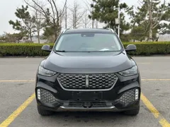 Wey VV6