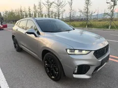 Wey VV7