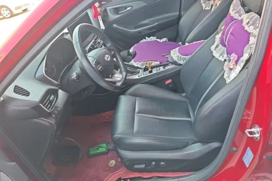 Hyundai Lafesta