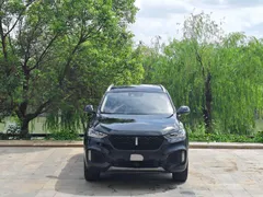 Wey VV6
