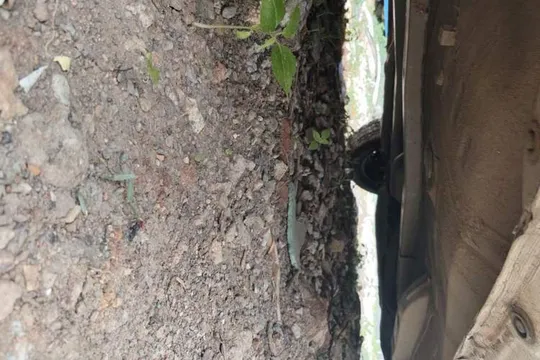 BYD F0