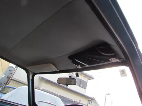 Rover Mini