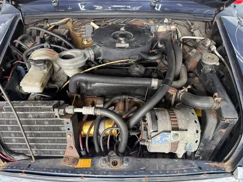 Rover Mini
