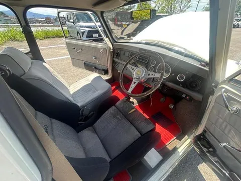 Rover Mini