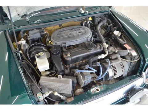 Rover Mini