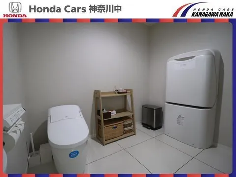 Honda Freed Plus