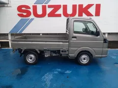 Suzuki Carry Track