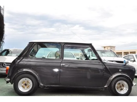 Rover Mini
