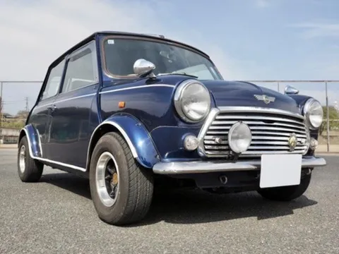 Rover Mini