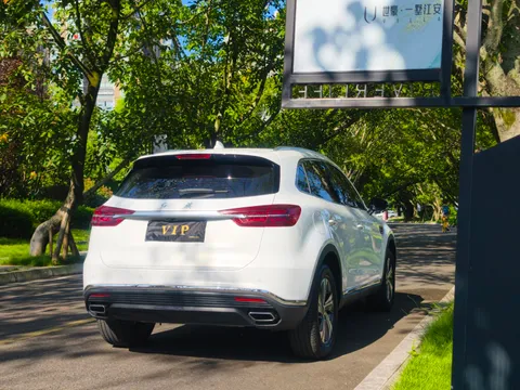 Hongqi HS5