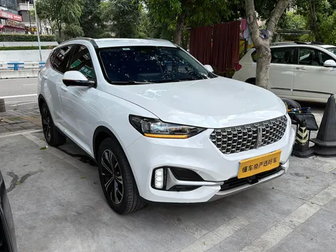 Wey VV6