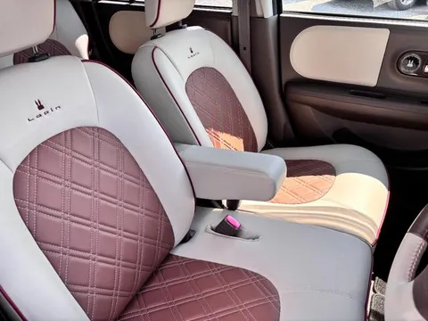 Suzuki Alto Lapin Chocolat