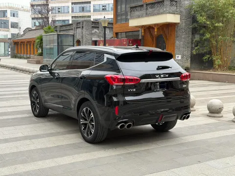 Wey VV6