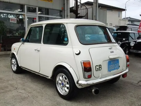 Rover Mini