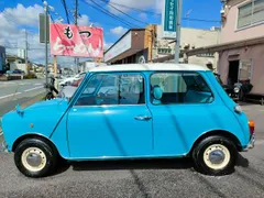 Rover Mini
