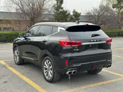 Wey VV6