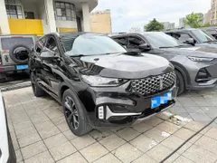 Wey VV6