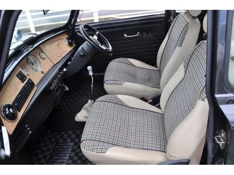 Rover Mini