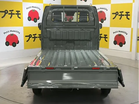 Suzuki Carry Track