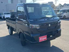 Suzuki Carry Track