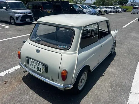 Rover Mini